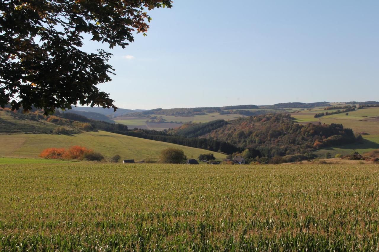 Volkesfeld Ferienwohnung Heideblick מראה חיצוני תמונה